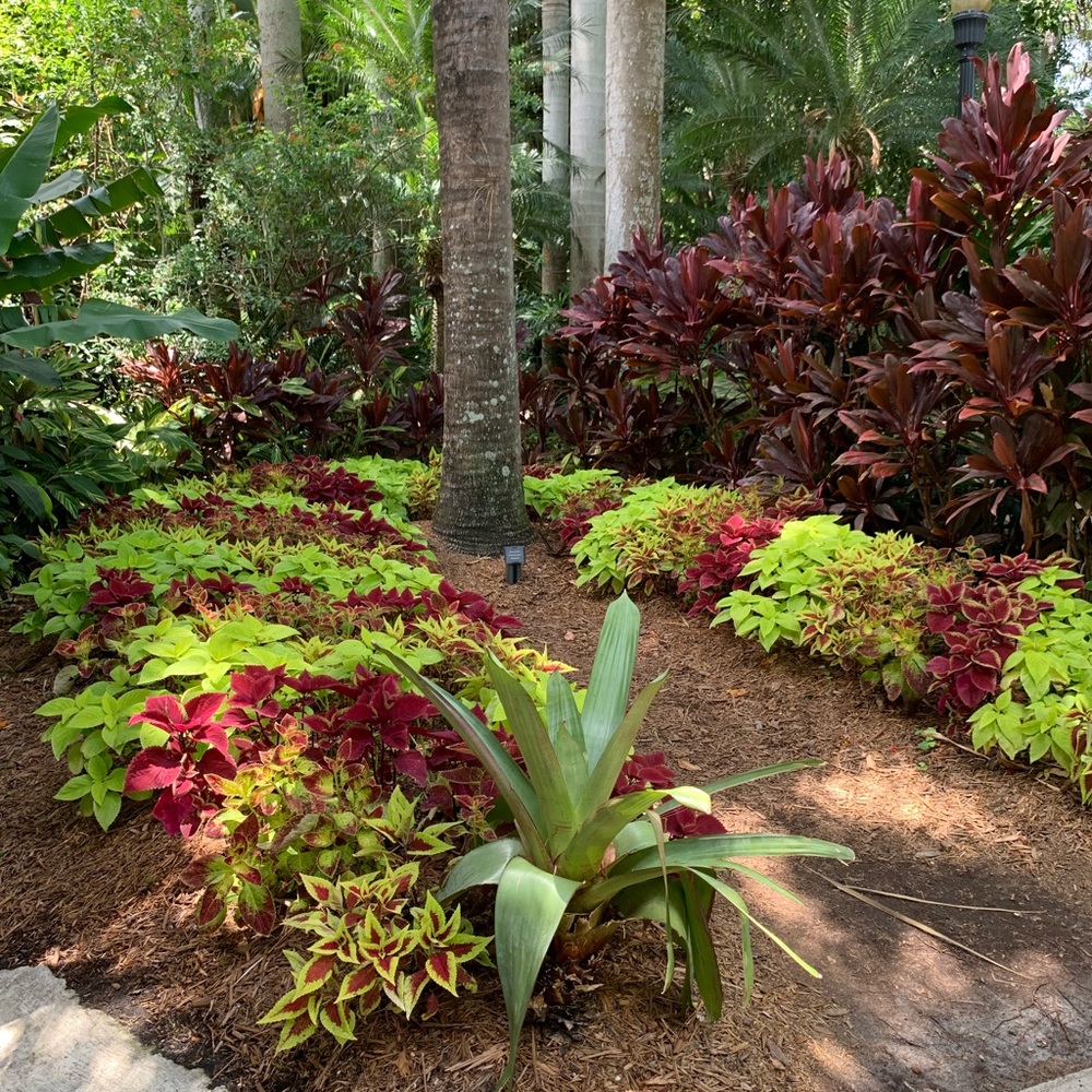 Meet your Posher, Petra